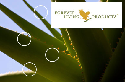 Forever Living Products image